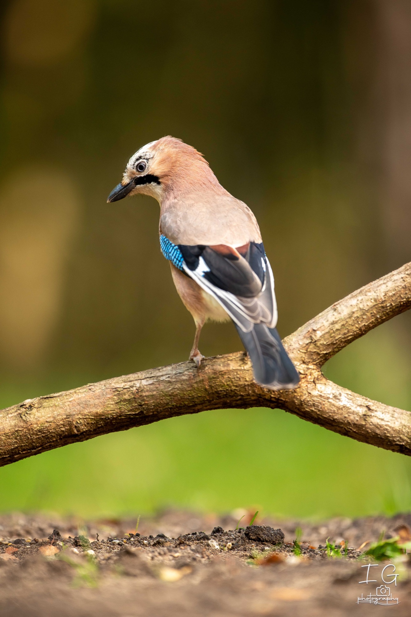 20211015  5D49151 instagram